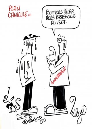 Dans le vent