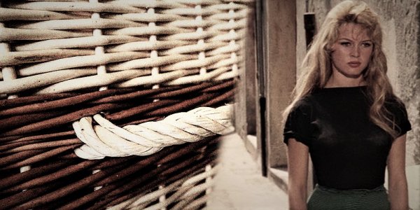 Brigitte Bardot&nbsp;: la trajectoire d’une étoile