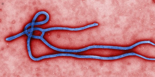Pourquoi Ébola fait-il peur ?