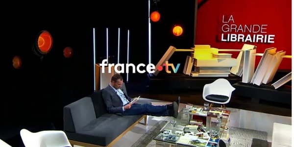 Écrivains professionnels et la grande domestication du verbe