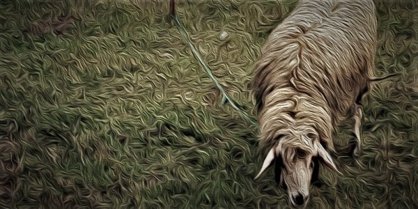 La légère, subtile et mystérieuse Providence