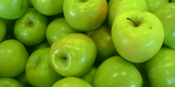COP21 : Apple a décidé de verdir sa pomme