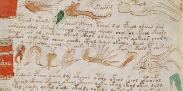 Le manuscrit de Voynich enfin décrypté ?